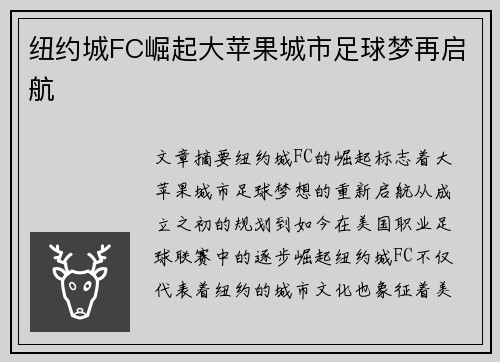 纽约城FC崛起大苹果城市足球梦再启航